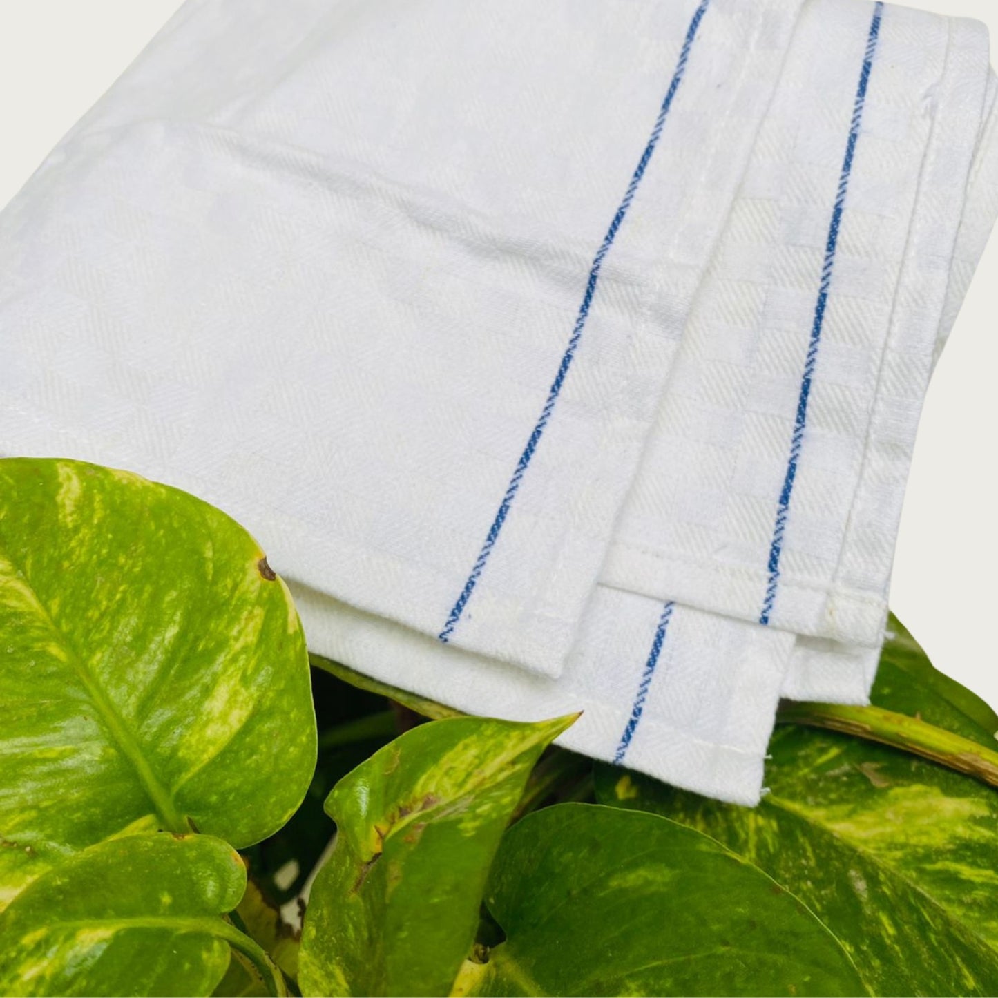Pro Blazes Kitchen Towels 10-Pack 100% Natural Cotton